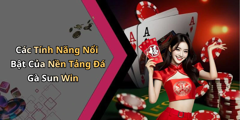 Các Tính Năng Nổi Bật Của Nền Tảng Đá Gà Sun Win